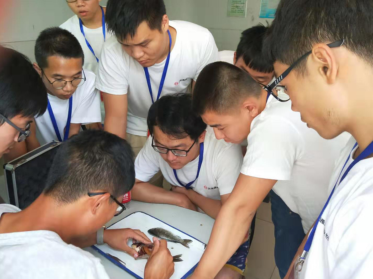 Bevictor伟德官网-韦德(中国)体育-伟大始于1946