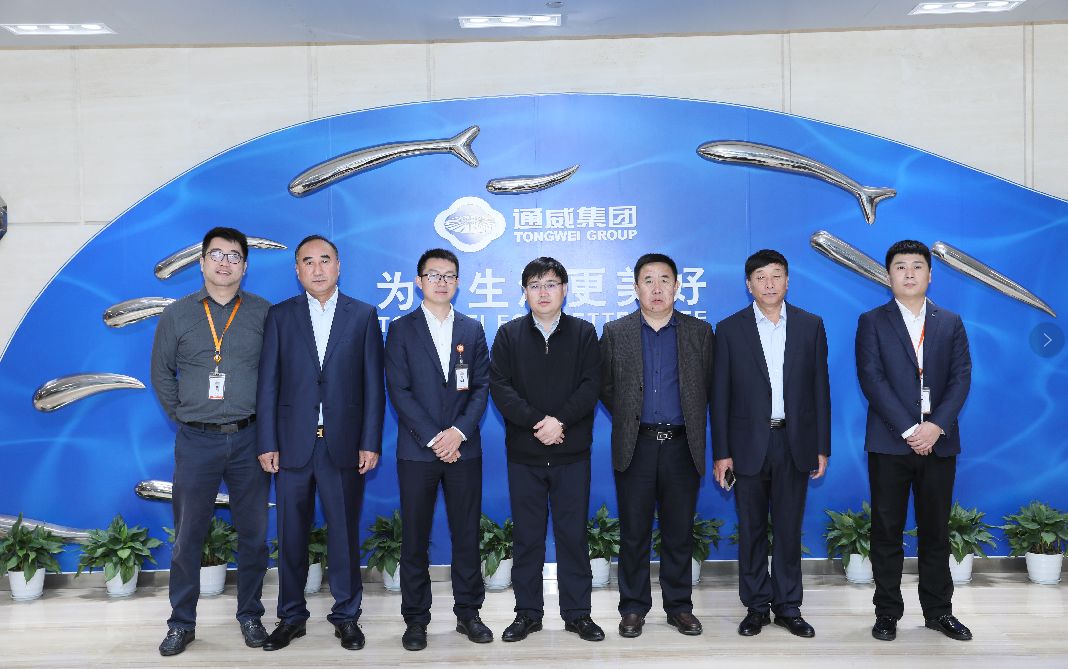 Bevictor伟德官网-韦德(中国)体育-伟大始于1946