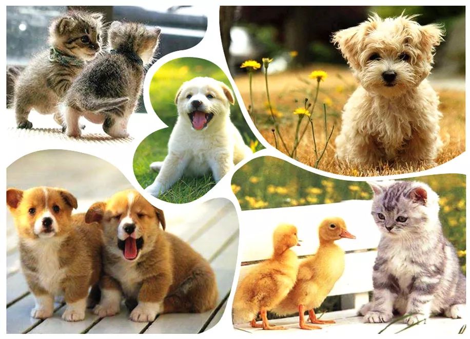 Bevictor伟德官网-韦德(中国)体育-伟大始于1946