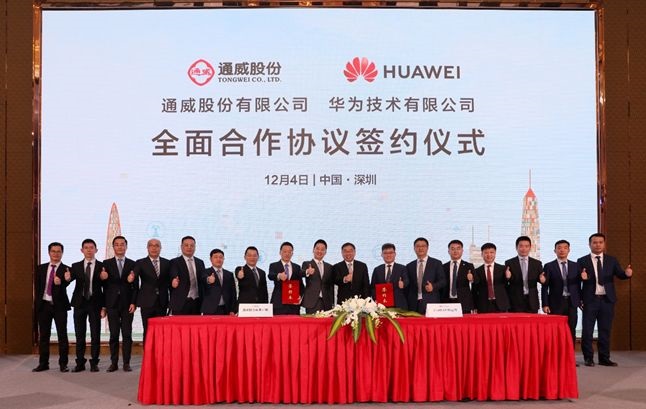 Bevictor伟德官网-韦德(中国)体育-伟大始于1946