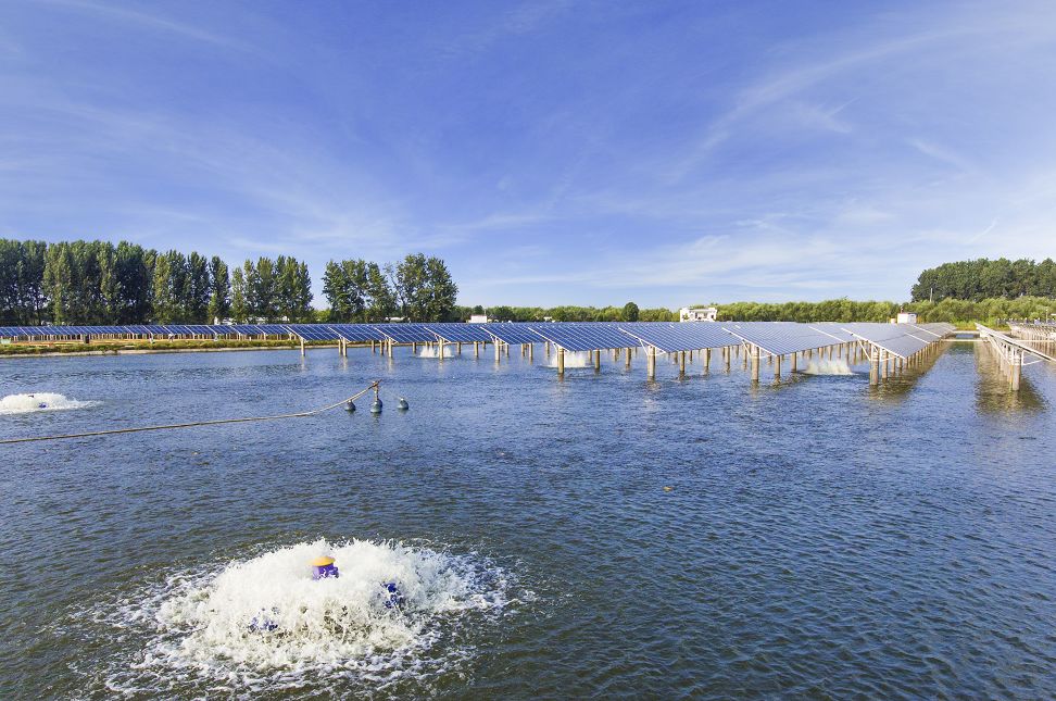 Bevictor伟德官网-韦德(中国)体育-伟大始于1946