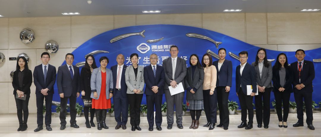 Bevictor伟德官网-韦德(中国)体育-伟大始于1946