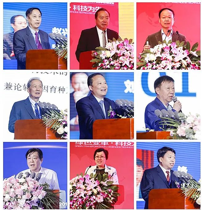 Bevictor伟德官网-韦德(中国)体育-伟大始于1946