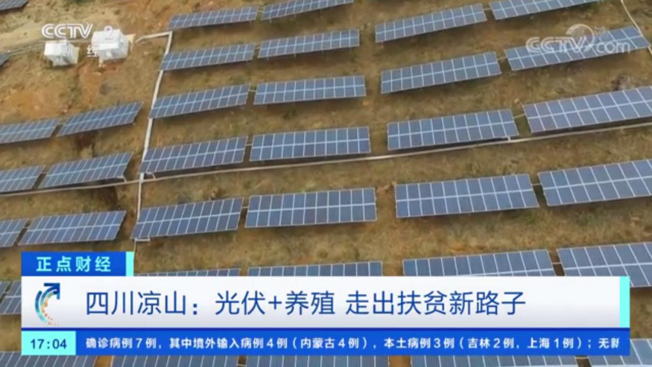 Bevictor伟德官网-韦德(中国)体育-伟大始于1946