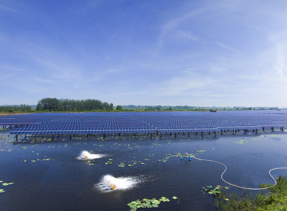 Bevictor伟德官网-韦德(中国)体育-伟大始于1946