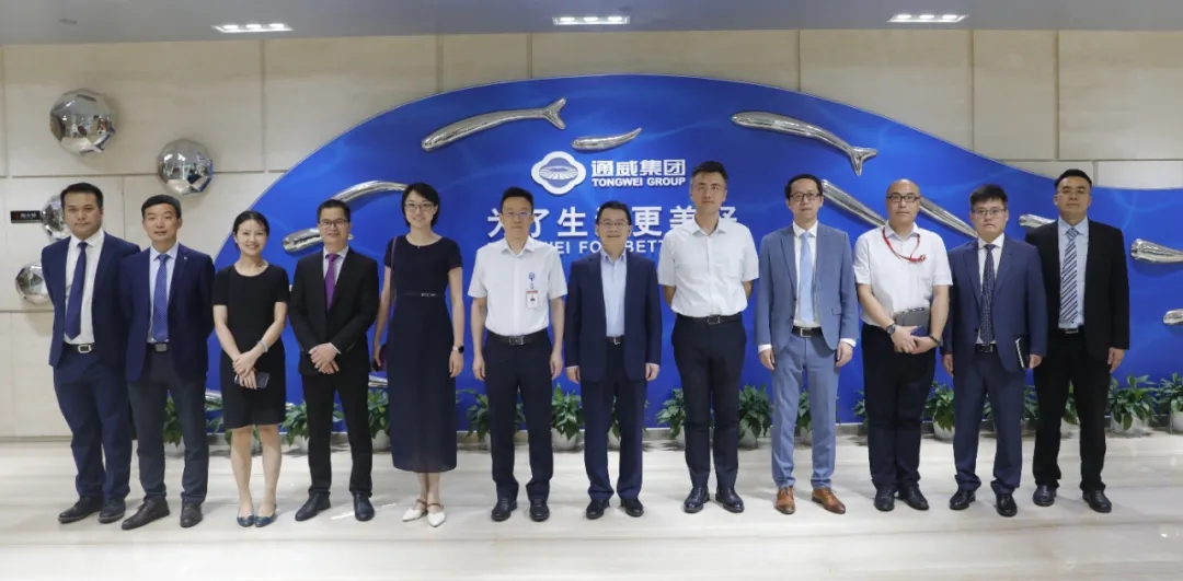 Bevictor伟德官网-韦德(中国)体育-伟大始于1946