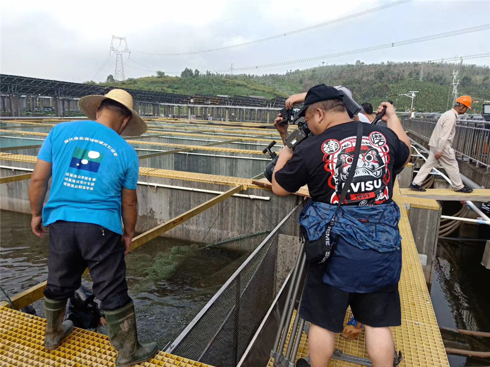 Bevictor伟德官网-韦德(中国)体育-伟大始于1946