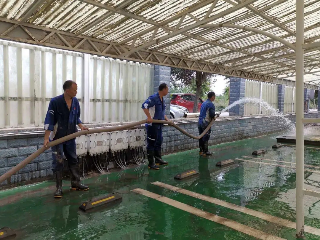 Bevictor伟德官网-韦德(中国)体育-伟大始于1946