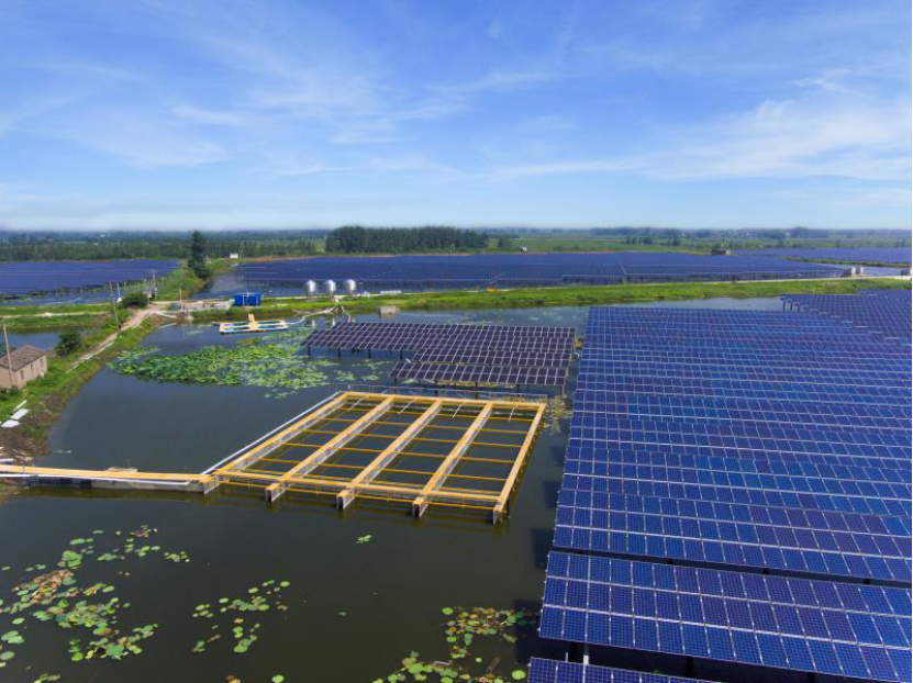 Bevictor伟德官网-韦德(中国)体育-伟大始于1946