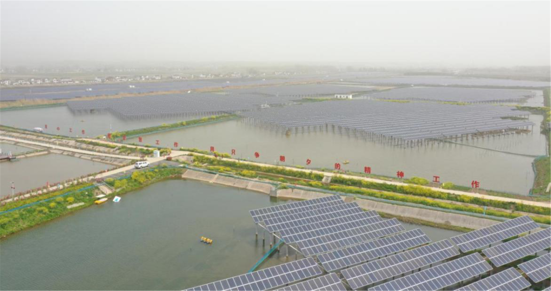 Bevictor伟德官网-韦德(中国)体育-伟大始于1946