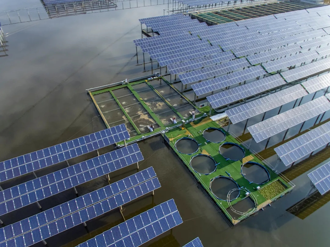 Bevictor伟德官网-韦德(中国)体育-伟大始于1946