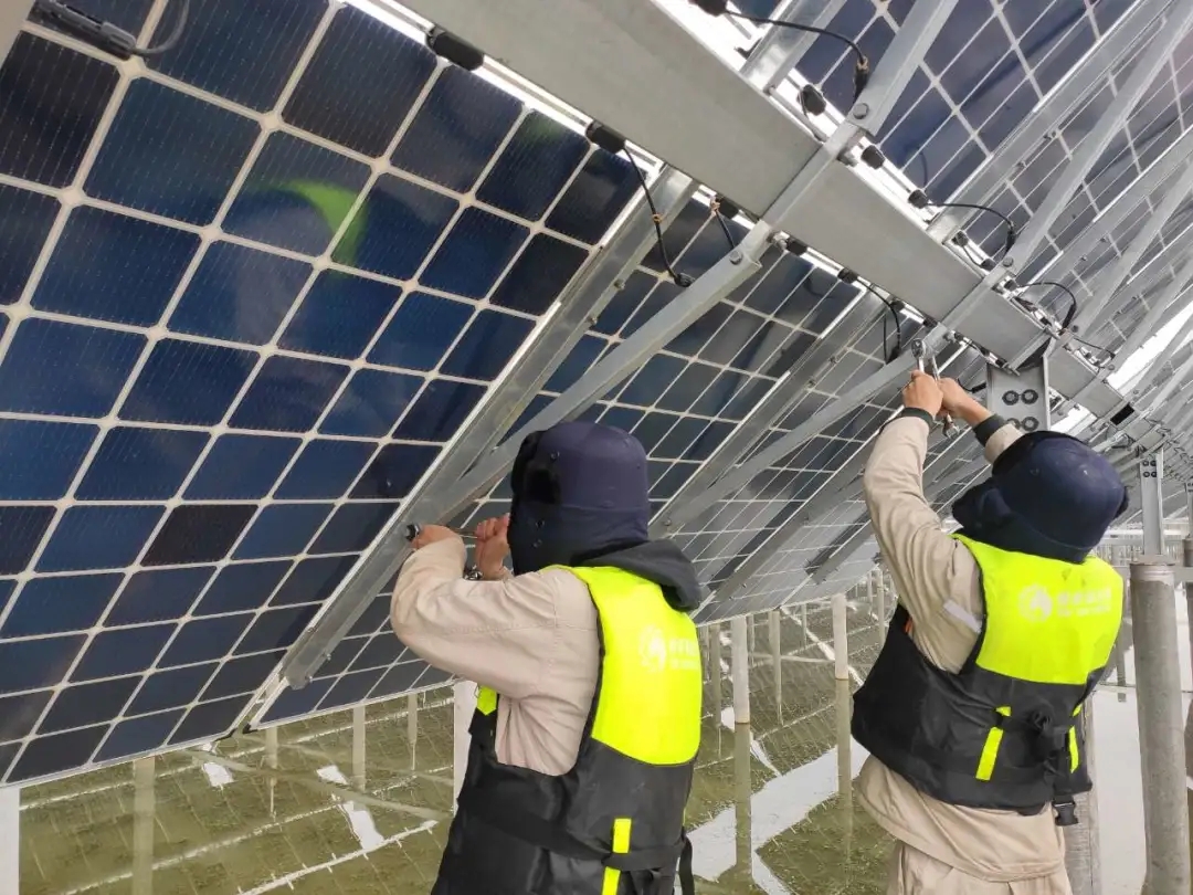 Bevictor伟德官网-韦德(中国)体育-伟大始于1946