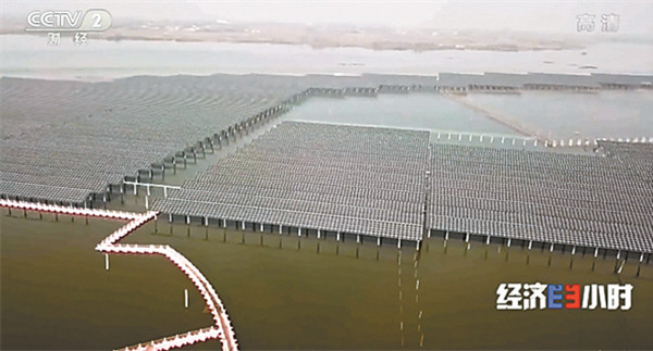 Bevictor伟德官网-韦德(中国)体育-伟大始于1946