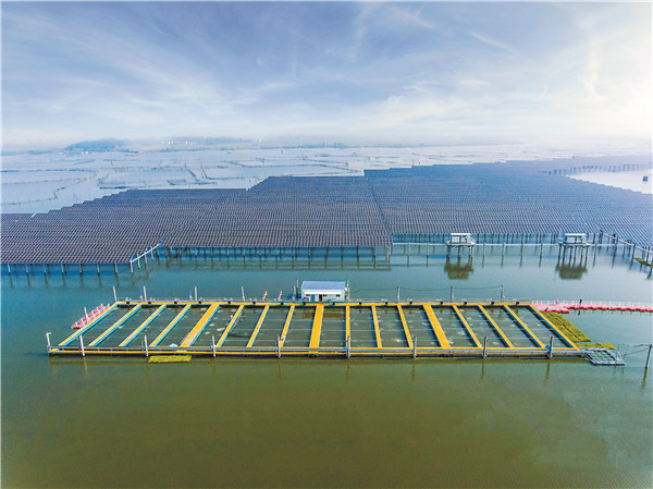 Bevictor伟德官网-韦德(中国)体育-伟大始于1946