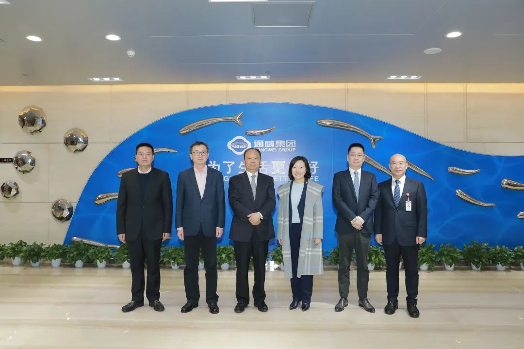 Bevictor伟德官网-韦德(中国)体育-伟大始于1946