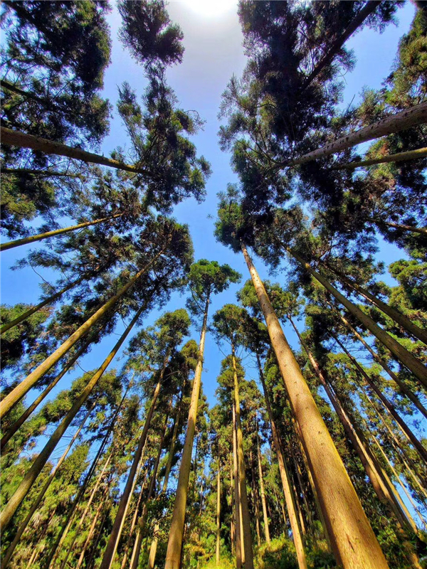 Bevictor伟德官网-韦德(中国)体育-伟大始于1946