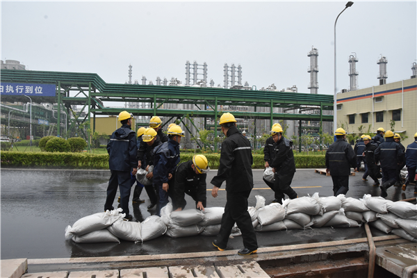 Bevictor伟德官网-韦德(中国)体育-伟大始于1946