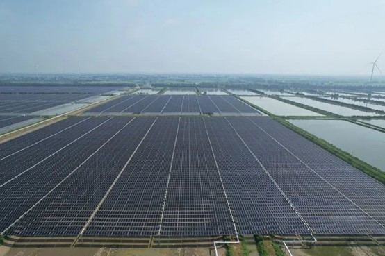 Bevictor伟德官网-韦德(中国)体育-伟大始于1946