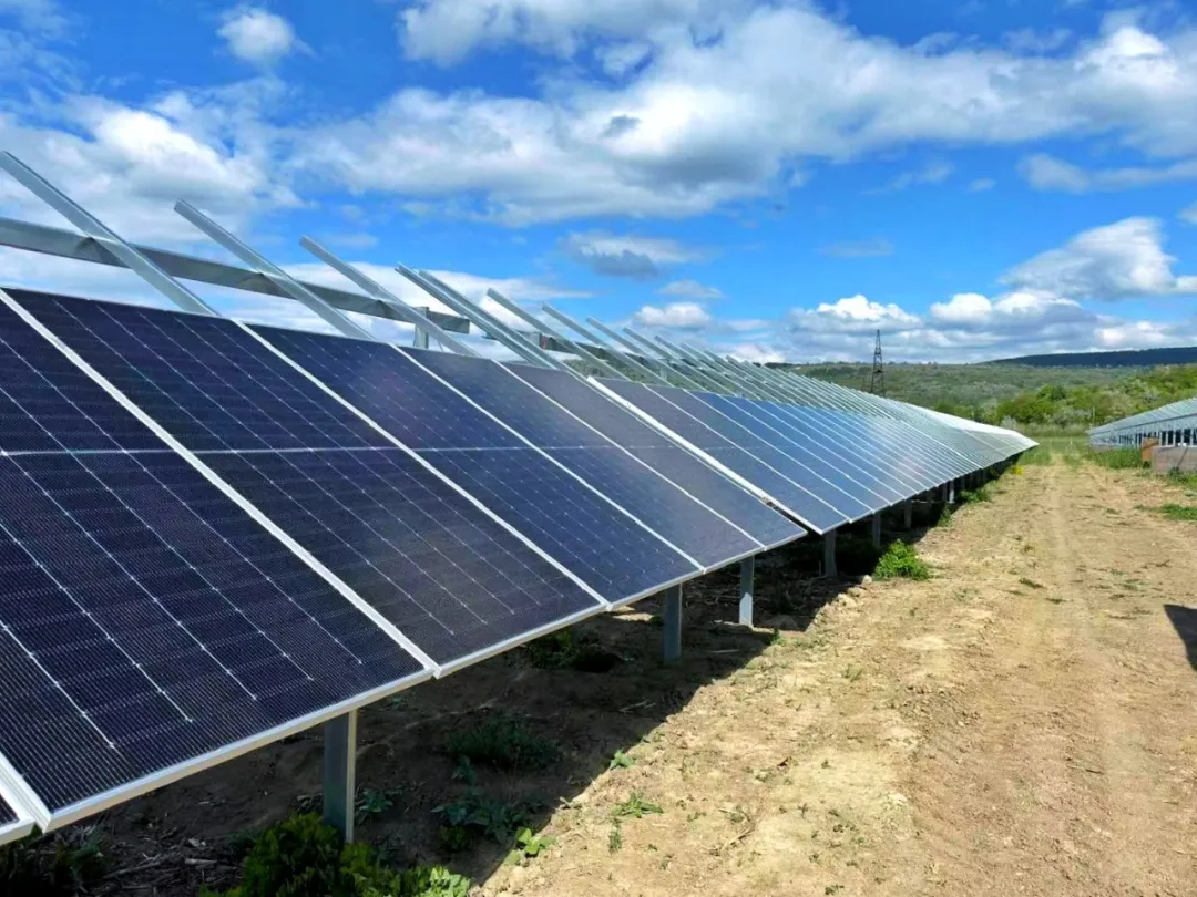 Bevictor伟德官网-韦德(中国)体育-伟大始于1946