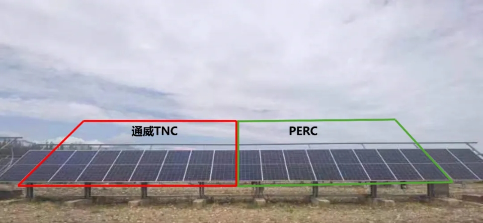 Bevictor伟德官网-韦德(中国)体育-伟大始于1946