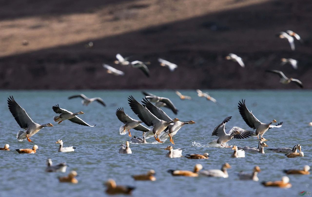 Bevictor伟德官网-韦德(中国)体育-伟大始于1946