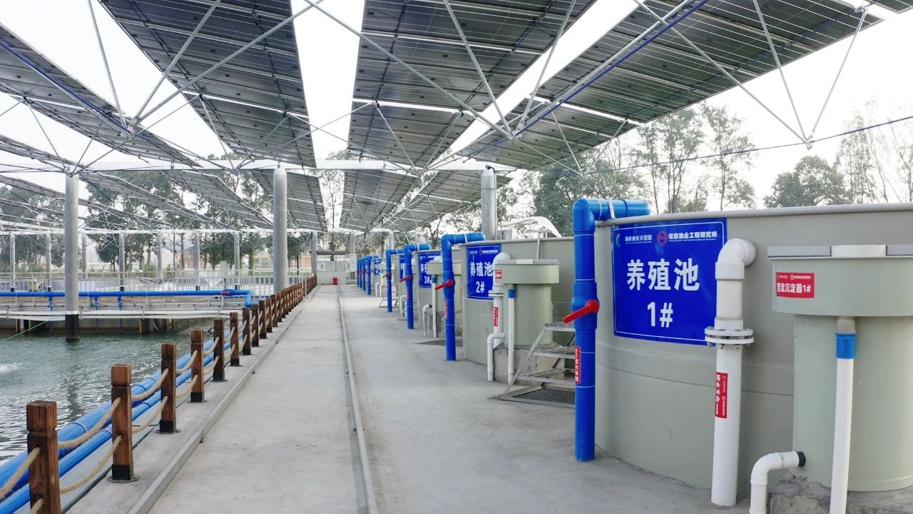 Bevictor伟德官网-韦德(中国)体育-伟大始于1946