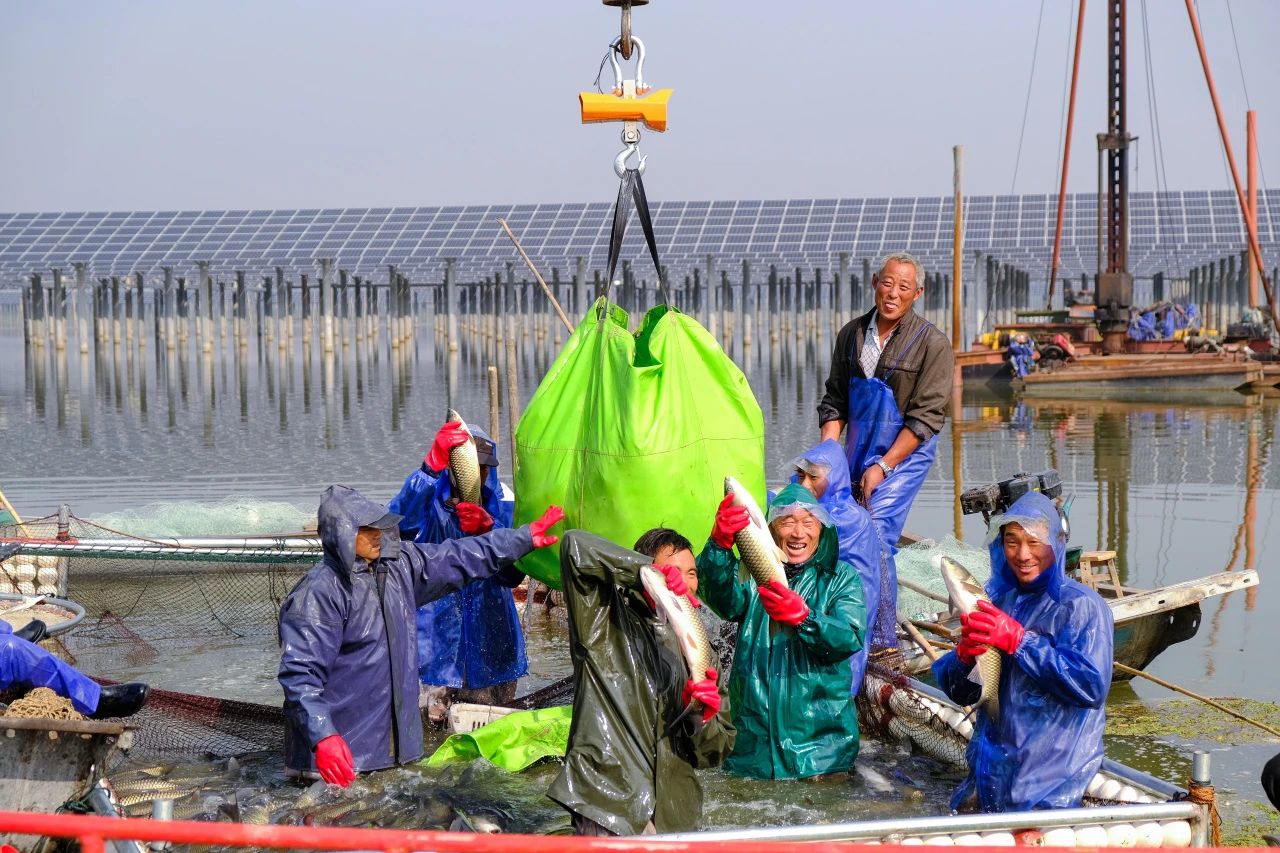 Bevictor伟德官网-韦德(中国)体育-伟大始于1946