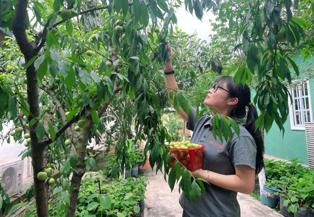 Bevictor伟德官网-韦德(中国)体育-伟大始于1946