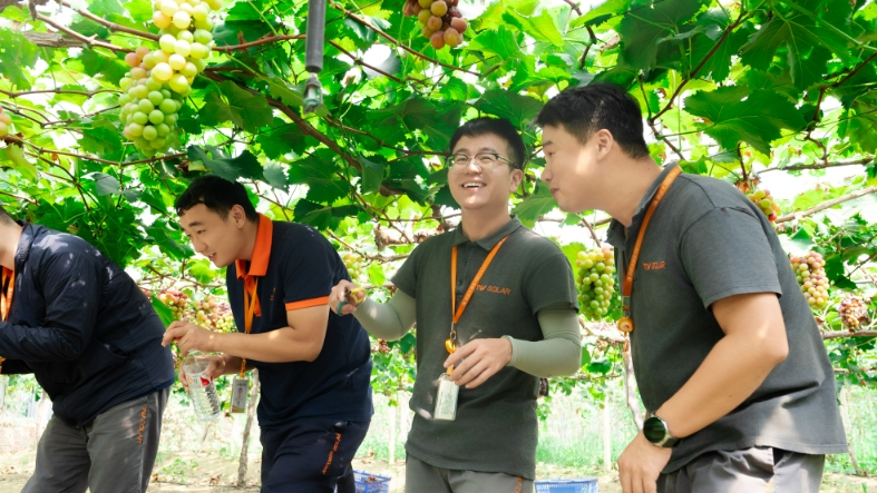 Bevictor伟德官网-韦德(中国)体育-伟大始于1946