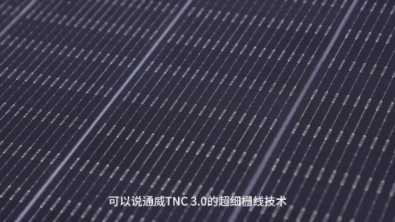 d32cfd50eb498126b73ab0dc75d9e06b.jpg