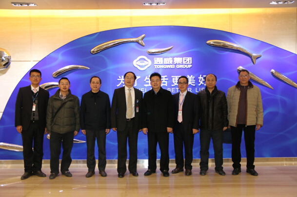 Bevictor伟德官网-韦德(中国)体育-伟大始于1946