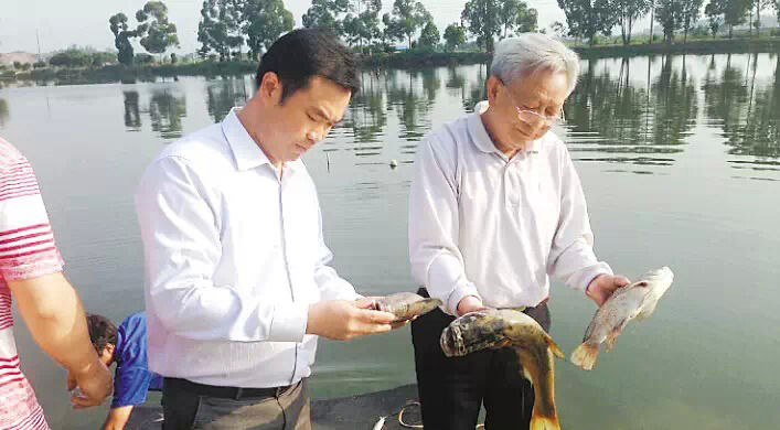 Bevictor伟德官网-韦德(中国)体育-伟大始于1946