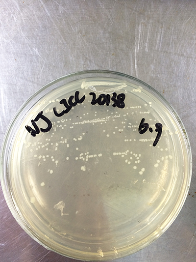 Bevictor伟德官网-韦德(中国)体育-伟大始于1946