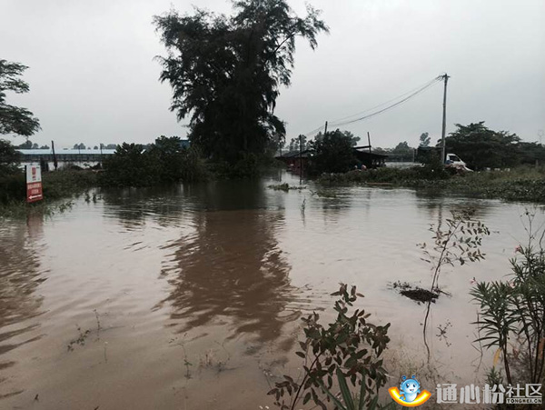 Bevictor伟德官网-韦德(中国)体育-伟大始于1946