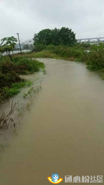 Bevictor伟德官网-韦德(中国)体育-伟大始于1946