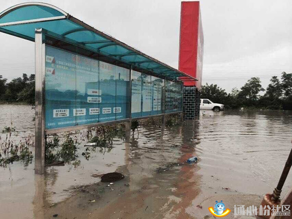 Bevictor伟德官网-韦德(中国)体育-伟大始于1946