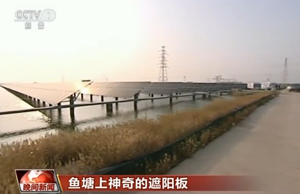 Bevictor伟德官网-韦德(中国)体育-伟大始于1946