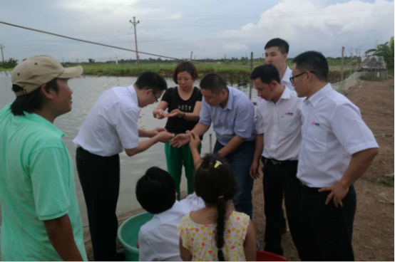 Bevictor伟德官网-韦德(中国)体育-伟大始于1946