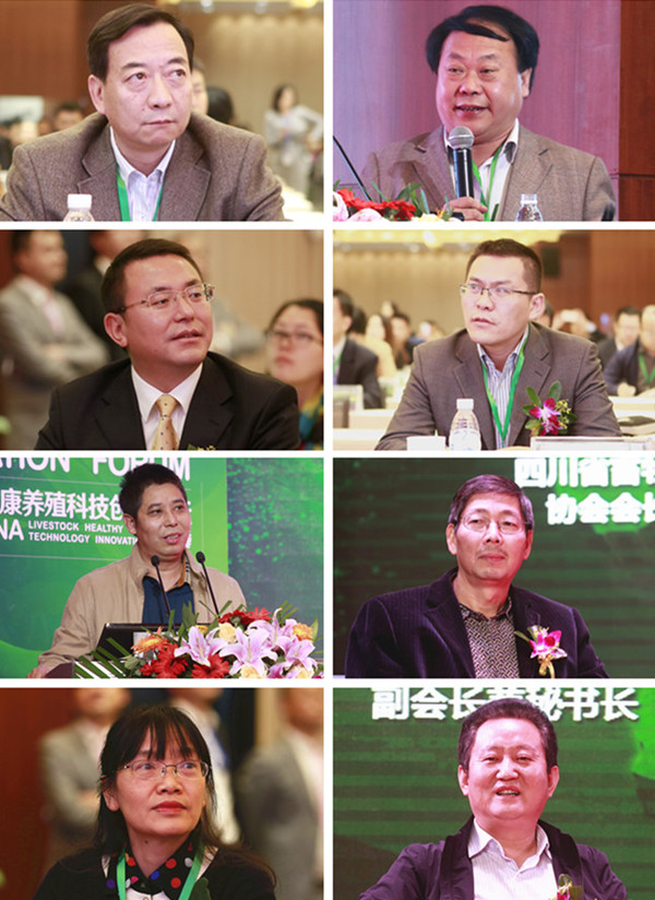 Bevictor伟德官网-韦德(中国)体育-伟大始于1946