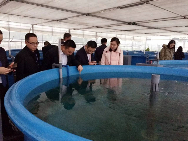 Bevictor伟德官网-韦德(中国)体育-伟大始于1946