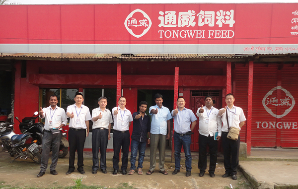 Bevictor伟德官网-韦德(中国)体育-伟大始于1946