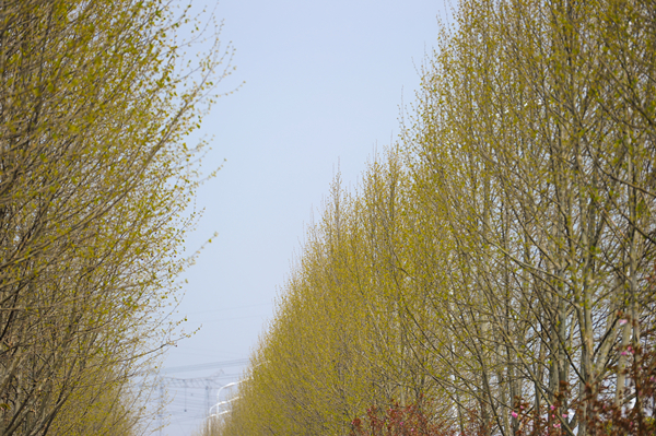 Bevictor伟德官网-韦德(中国)体育-伟大始于1946