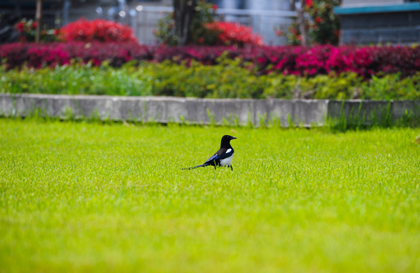 Bevictor伟德官网-韦德(中国)体育-伟大始于1946