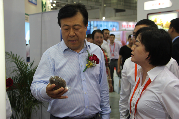 Bevictor伟德官网-韦德(中国)体育-伟大始于1946