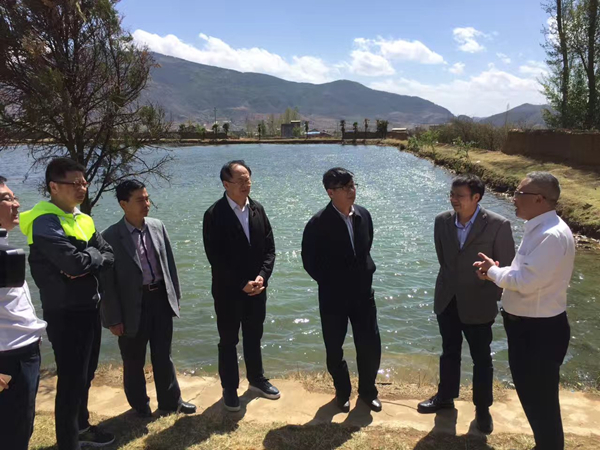 Bevictor伟德官网-韦德(中国)体育-伟大始于1946