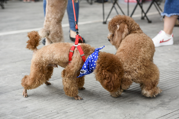 Bevictor伟德官网-韦德(中国)体育-伟大始于1946