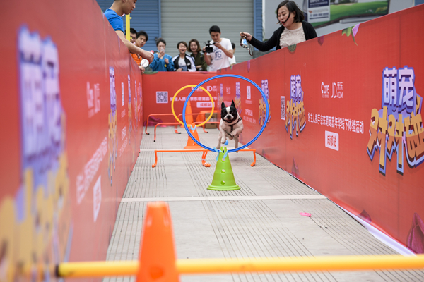 Bevictor伟德官网-韦德(中国)体育-伟大始于1946