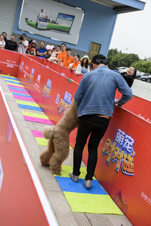 Bevictor伟德官网-韦德(中国)体育-伟大始于1946