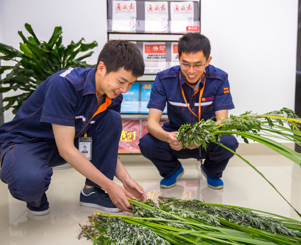 Bevictor伟德官网-韦德(中国)体育-伟大始于1946