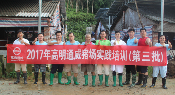 Bevictor伟德官网-韦德(中国)体育-伟大始于1946